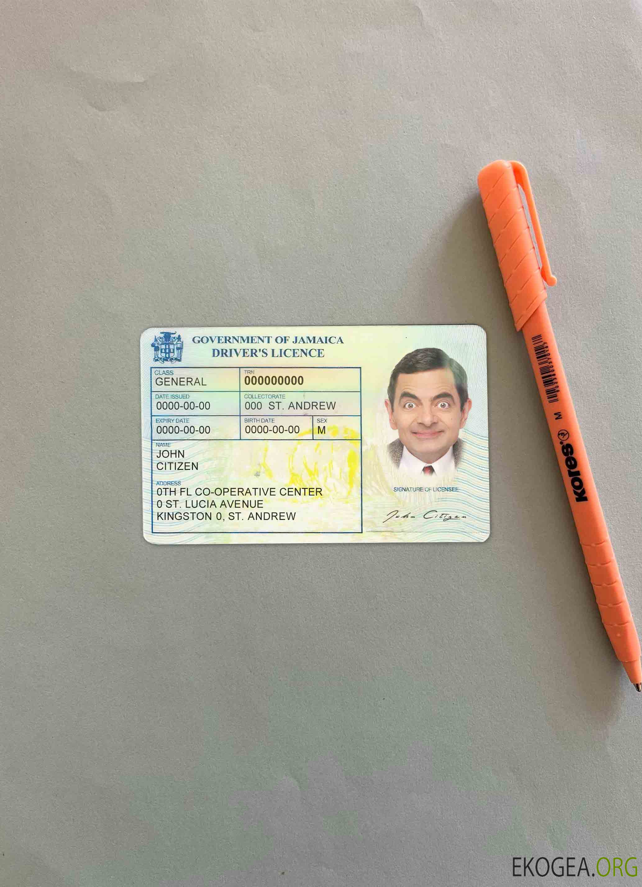 Jamaïque DL photolook AVANT